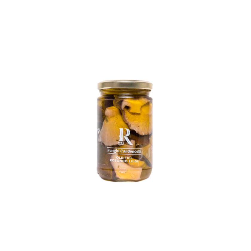 Funghi cardoncelli sott'olio 314-580 gr